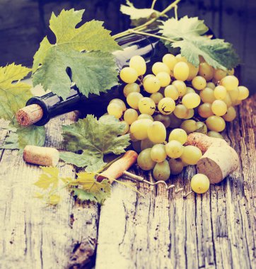 şişe beyaz şarap, üzüm ve mantarlar ahşap tablo