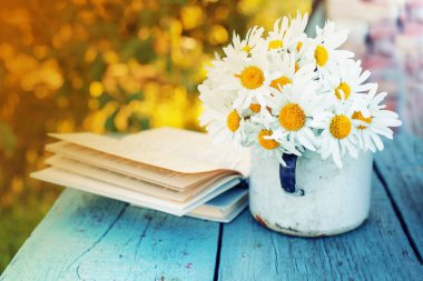 Kupa eski kitap açık havada rustik ahşap tablo taze chamomiles buket