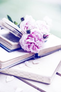 Eski yığılmış açık kitaplar güllerinin pembe şakayık