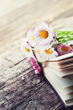 ahşap masa üzerinde açık kitap üzerinde papatya parlak buket