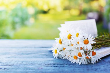 taze kesilmiş chamomiles çiçek bahçesinde açık kitap ahşap tablo