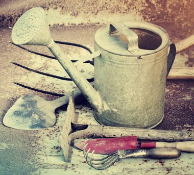 closeup görünümü eski bahçe zemin araçlar