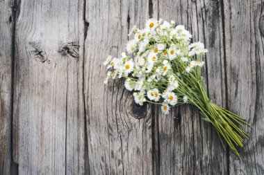 gri ahşap masa üzerinde taze chamomiles buket