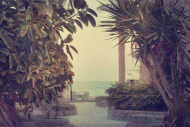 Güzel manzaralı muhteşem renkli doğa