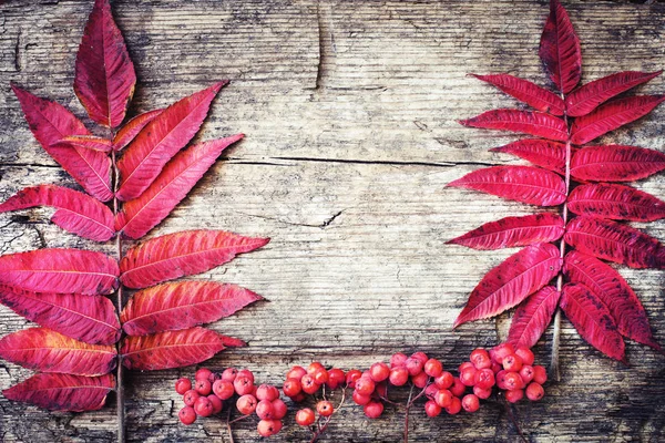 秋の平面図の木製の背景に置かれた果実と葉します — ストック写真