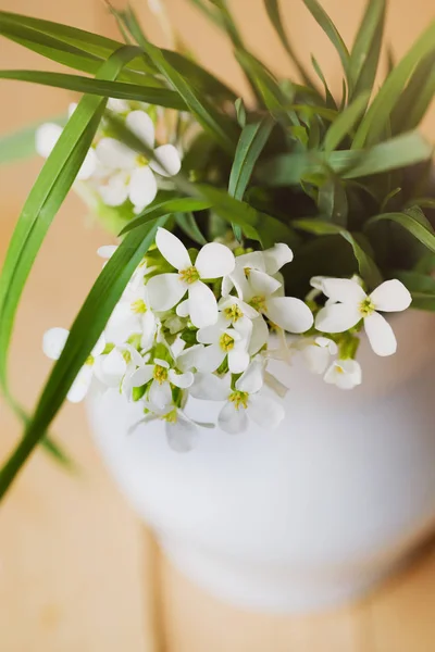 Nahaufnahme Von Frischen Weißen Feldblumen Der Vase — Stockfoto