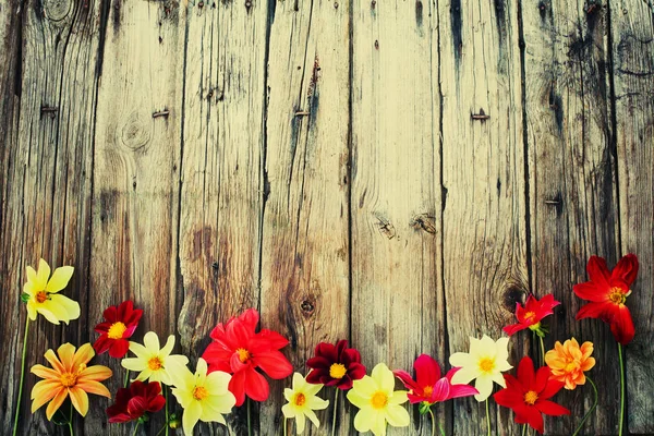 Kleurrijke Verschillende Bloemen Houten Achtergrond — Stockfoto