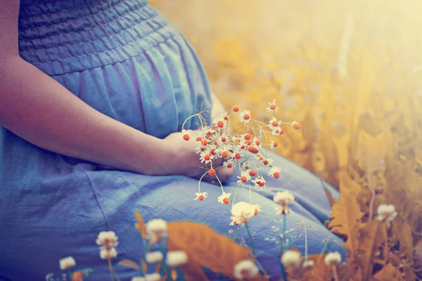 Jonge Zwangere Vrouw Met Chamomiles Hand Zitten Veld — Stockfoto