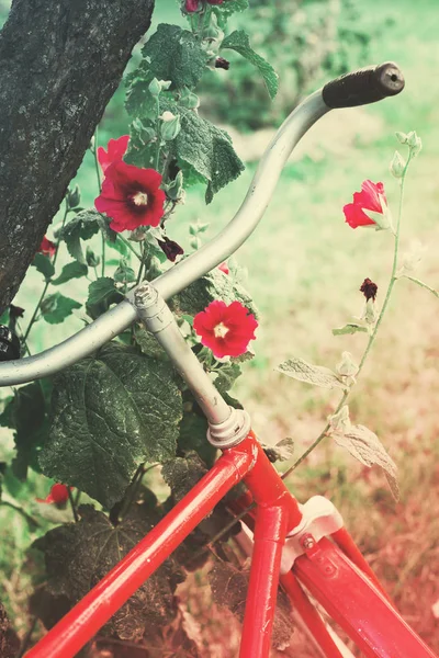 Belle Nature Avec Vélo Sur Prairie Herbeuse — Photo