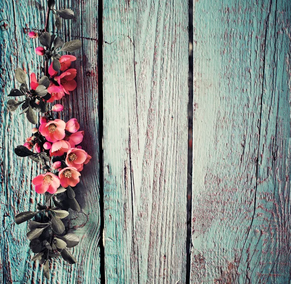 Farbenfroher Blumenzweig Auf Holzgrund — Stockfoto