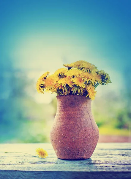 Fresh Cut Dandelions Rustic Vase Garden Table — Stock Photo, Image