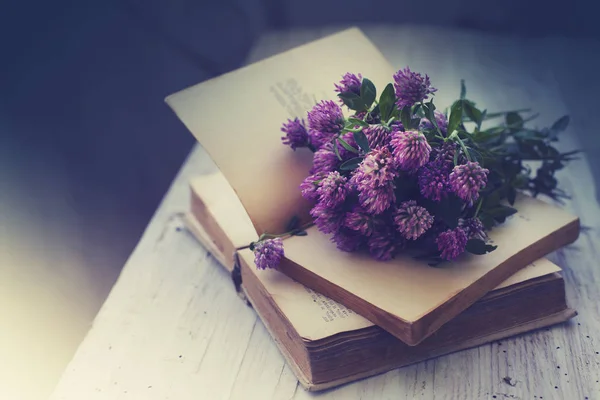 ヴィンテージ本以上横になっている菊の花のクローズ アップ ビュー — ストック写真
