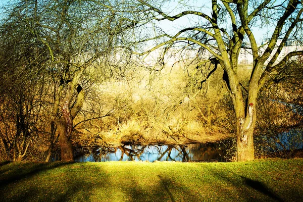 Vista Panorámica Del Hermoso Bosque Dorado Otoño Lago — Foto de Stock