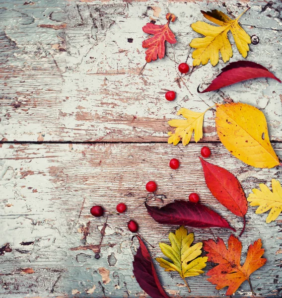 Top View Autumn Leaves Berries Wooden Table — Stock Photo, Image