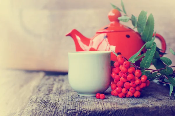 Hierbas Taza Con Bayas Rojas Maceta Punteada Mesa —  Fotos de Stock