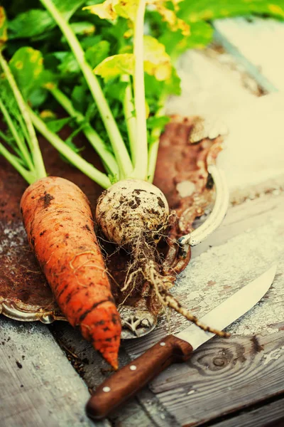 Vista Cerca Las Verduras Recién Recogidas — Foto de Stock