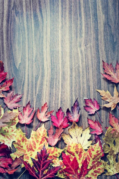 Herbstlicher Hintergrund Mit Blättern Auf Holzoberfläche — Stockfoto