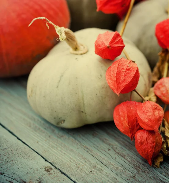 Zucche d'autunno su tavolo rustico in legno — Foto Stock