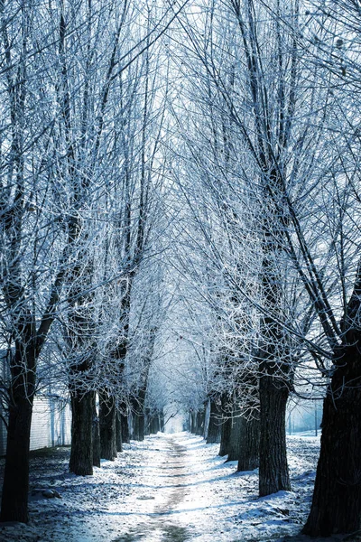 Incroyable Nature Colorée Avec Belle Vue — Photo