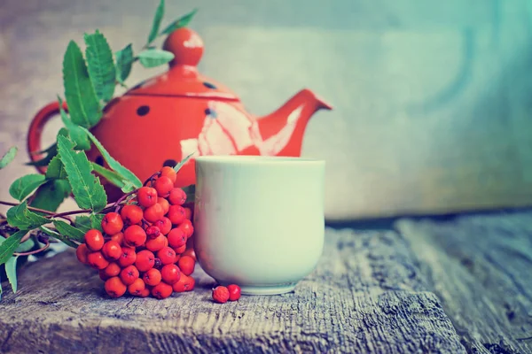 Taza Con Bayas Rojas Tetera Con Puntos —  Fotos de Stock