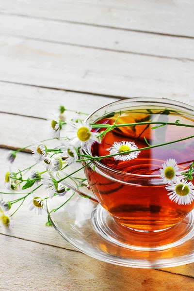 Taze Çay Kupası Ahşap Masa Üzerinde Papatya Ile Portre Görünümü — Stok fotoğraf