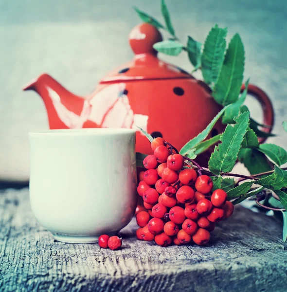 Örtte Kopp Med Röda Bär Och Prickade Potten Bordet — Stockfoto