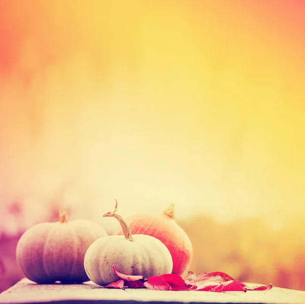 Citrouilles d'automne sur table rustique en bois — Photo