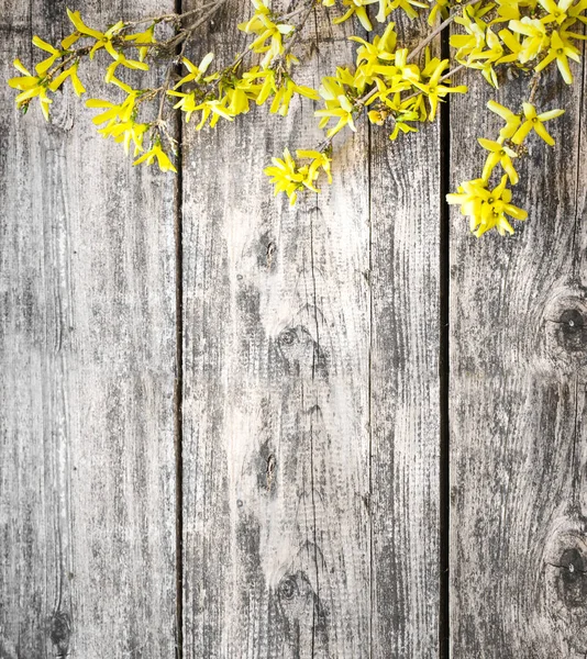 Yellow flowers on wooden background with copy space