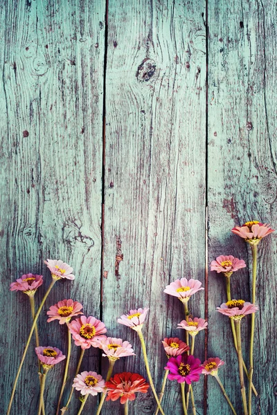 Helder Veld Bloemen Houten Rustiek Oppervlak — Stockfoto