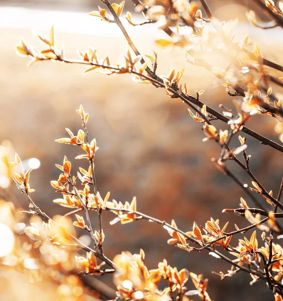 Incroyable Nature Colorée Avec Belle Vue — Photo