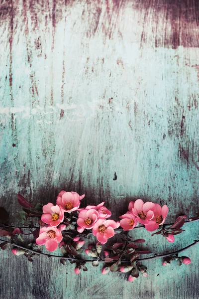 Ramo Colorido Flores Fundo Madeira — Fotografia de Stock