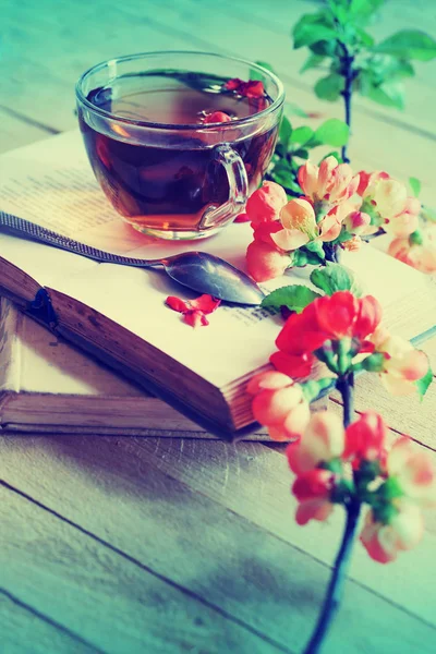 Wyświetlić Zbliżenie Filiżanki Herbaty Świeżych Kwiatów Książek — Zdjęcie stockowe