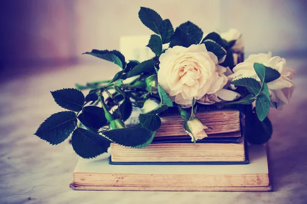 在柔和的玫瑰和复古书籍特写镜头 — 图库照片