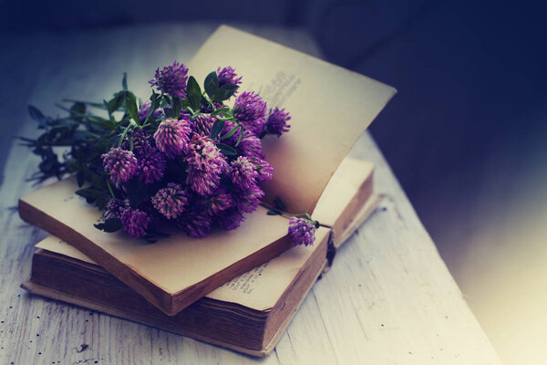 Pink garden flowers on open old books on wooden table