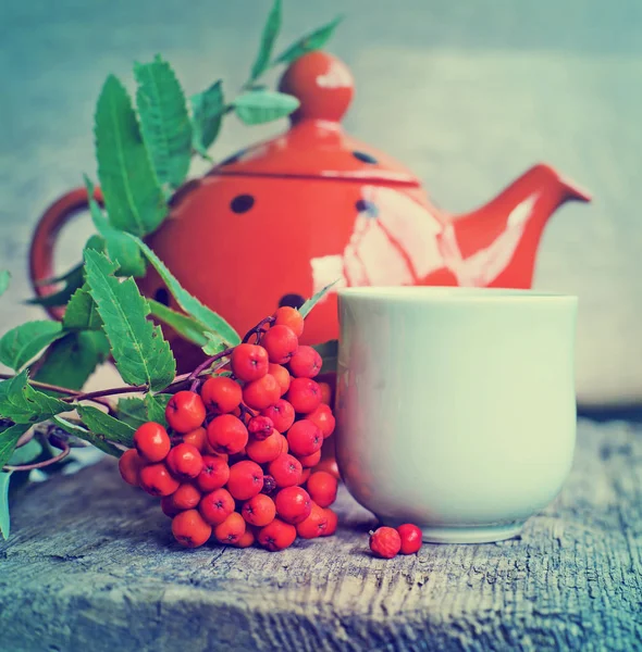Herbatę Czerwone Jagody Dzbanek Herbaty Kropkami — Zdjęcie stockowe