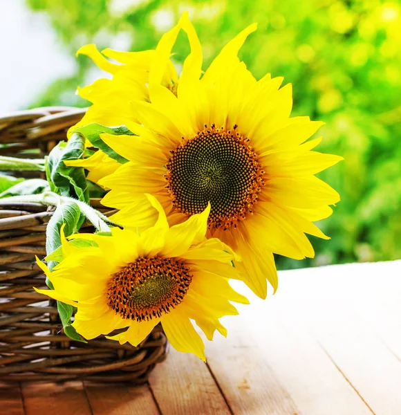 Vista Vicino Dei Girasoli Nel Cestino Sopra Tavolo Legno — Foto Stock