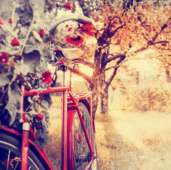 Bicicletta Rossa Piedi Nel Giardino Verde — Foto Stock