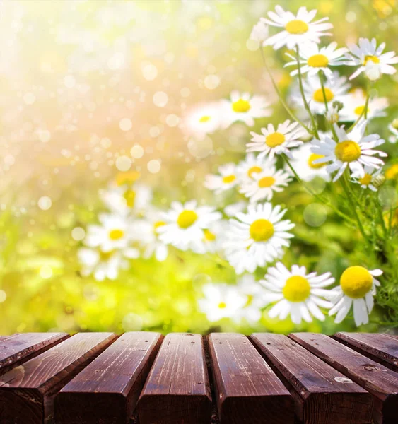 明るい花が美しい庭園 木製の表面 — ストック写真