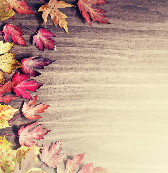 Herfst Achtergrond Met Bladeren Houten Oppervlak — Stockfoto