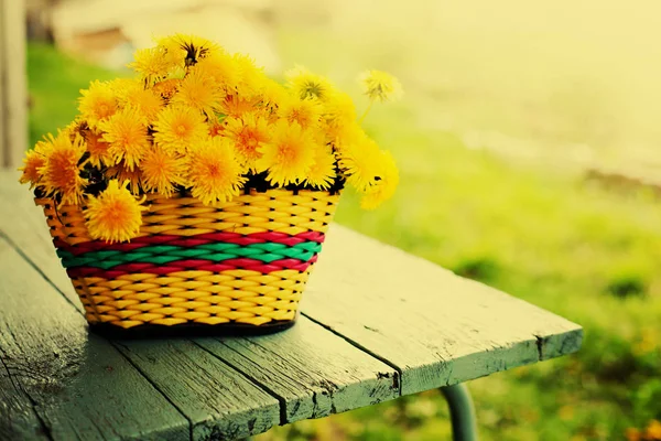 Crisantemos Color Amarillo Brillante Cesta Aire Libre —  Fotos de Stock