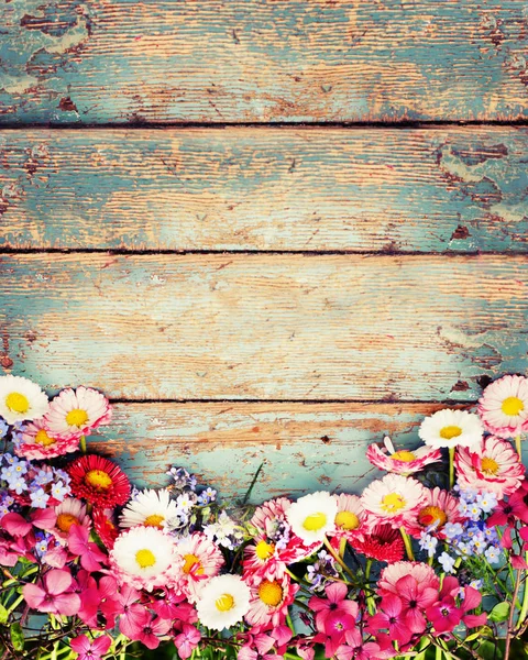 Colorful Fresh Flowers Shabby Wooden Background — Stock Photo, Image