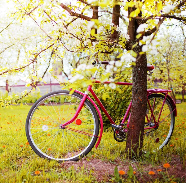 复古红色自行车停放在树旁边的公园 — 图库照片