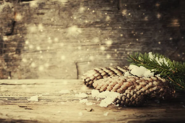 Vue Rapprochée Des Cônes Pin Dans Neige Comme Décorations Noël — Photo