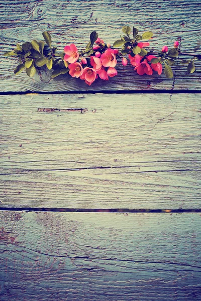 Ramo Colorido Flores Fundo Madeira — Fotografia de Stock