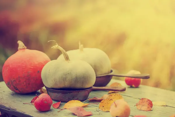 Calabazas de otoño sobre mesa rústica de madera —  Fotos de Stock