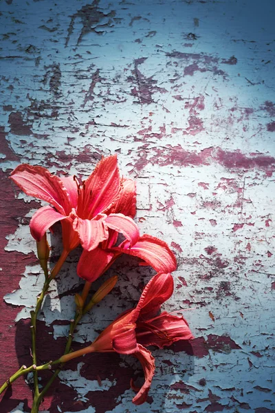 Red Lilies Shabby Wooden Surface — Stock Photo, Image