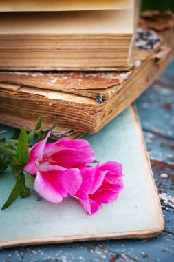 Doğal çiçek buketi closeup görünümünü vintage kitap