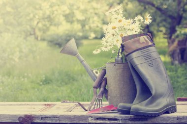 closeup görünümü eski tablo araçları Bahçe