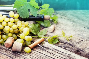 şişe beyaz şarap, üzüm ve mantarlar ahşap tablo