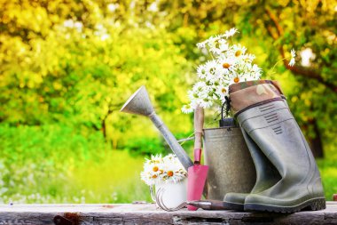 closeup görünümü eski tablo araçları Bahçe